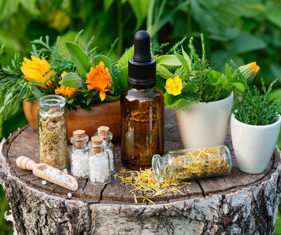 Dieta e Fitoterapia alleate del benessere in sicurezza