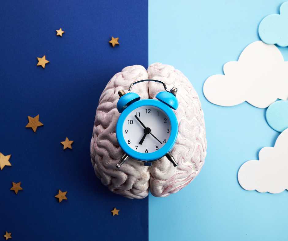 Cibo e Ritmo Circadiano: Come l’Orario dei Pasti Influisce sul Metabolismo